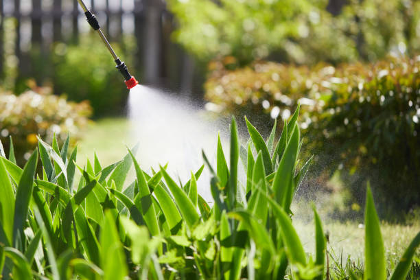 24/7 Emergency Cockroach Control experts in San Angelo, TX