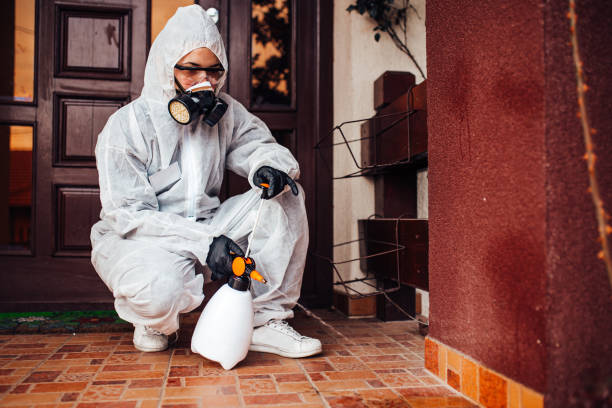 Reliable Cockroach Control contractor in San Angelo, TX by Nex Pest Control